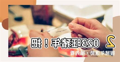 2023 豬